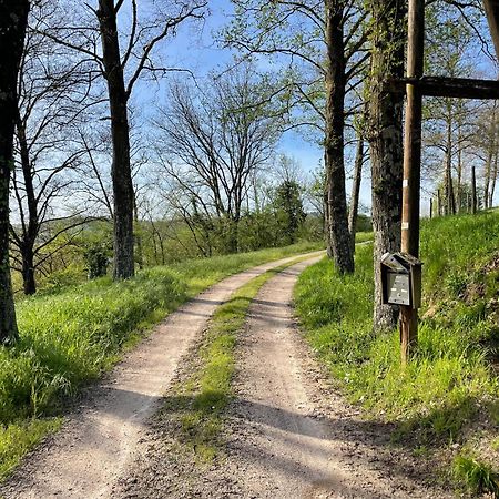 Agriturismo Podere Le Tombe Pensionat Palaia Exteriör bild