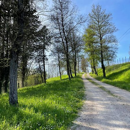 Agriturismo Podere Le Tombe Pensionat Palaia Exteriör bild