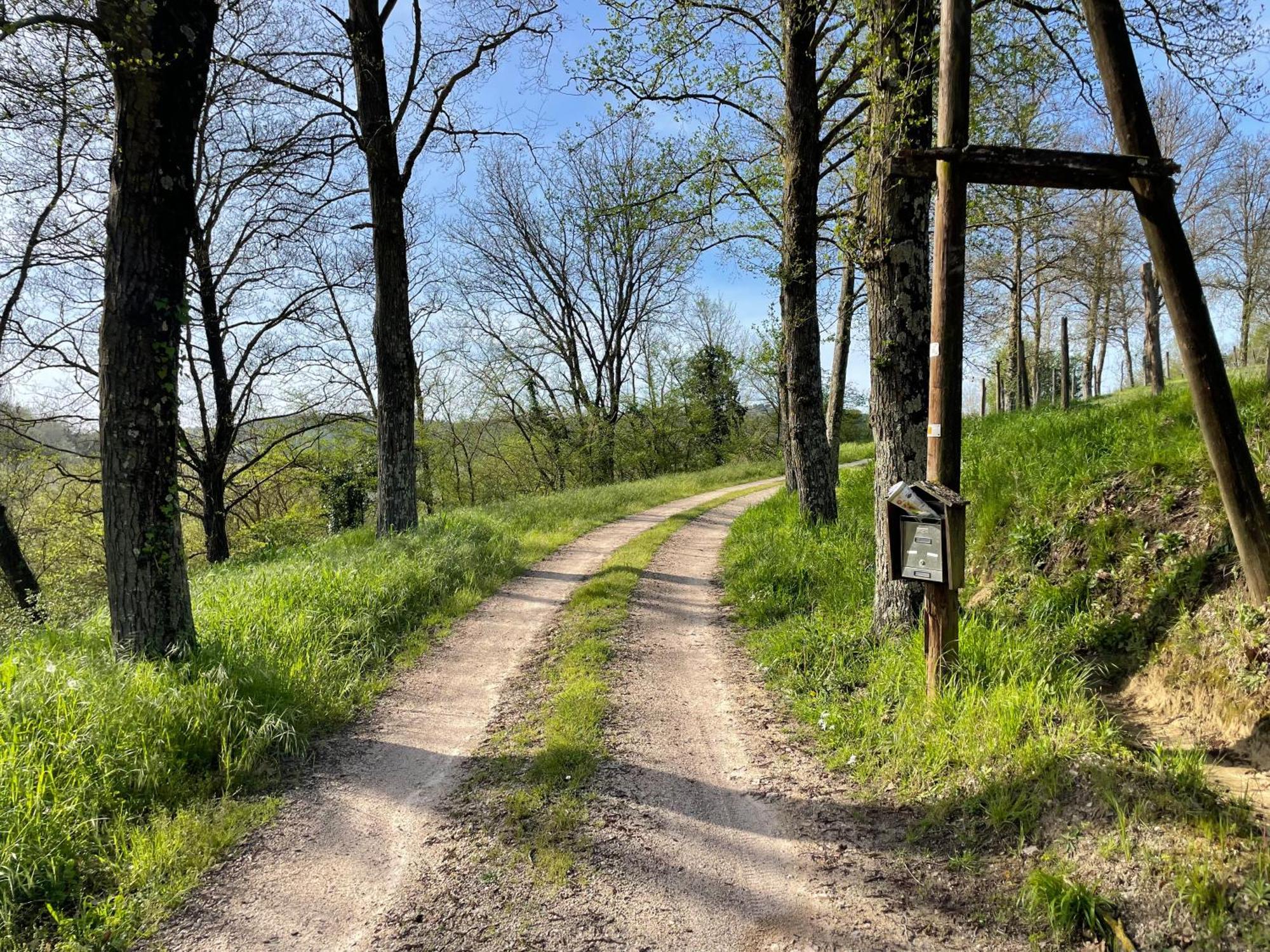 Agriturismo Podere Le Tombe Pensionat Palaia Exteriör bild