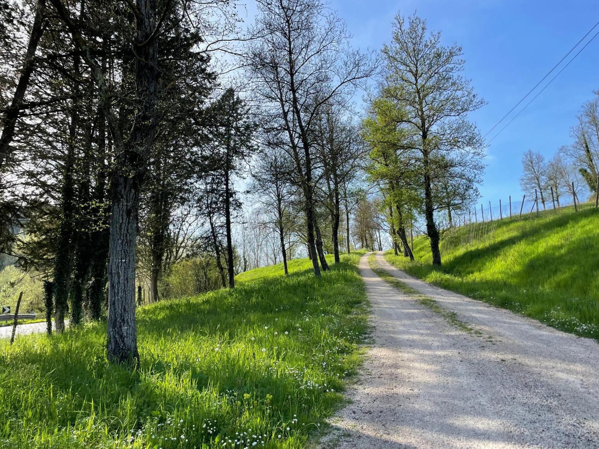 Agriturismo Podere Le Tombe Pensionat Palaia Exteriör bild