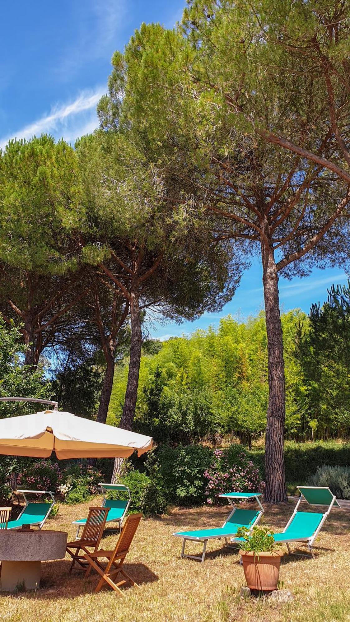 Agriturismo Podere Le Tombe Pensionat Palaia Exteriör bild