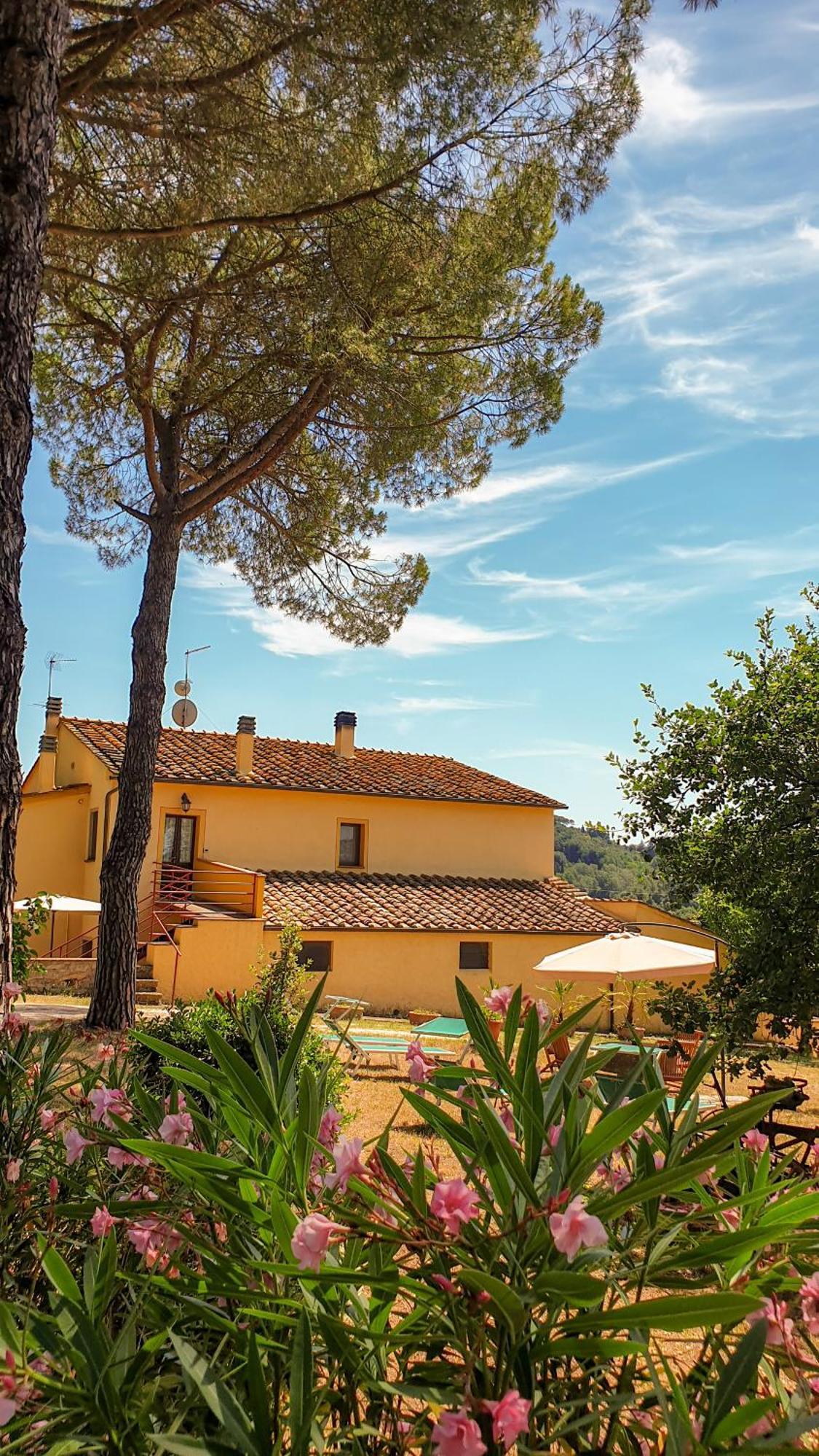 Agriturismo Podere Le Tombe Pensionat Palaia Rum bild